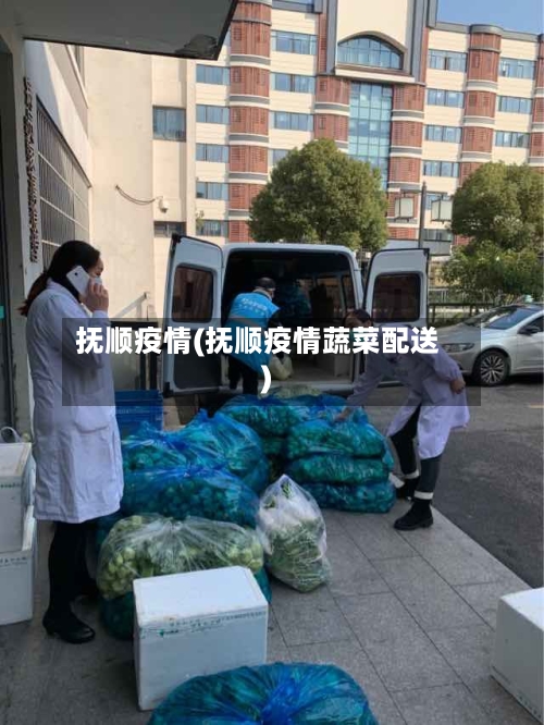 抚顺疫情(抚顺疫情蔬菜配送)