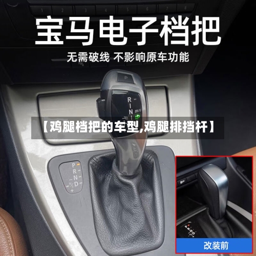 【鸡腿档把的车型,鸡腿排挡杆】-第2张图片