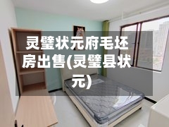 灵璧状元府毛坯房出售(灵璧县状元)