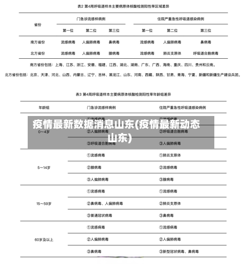 疫情最新数据消息山东(疫情最新动态山东)-第2张图片