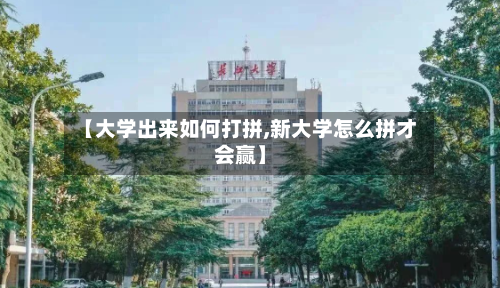 【大学出来如何打拼,新大学怎么拼才会赢】