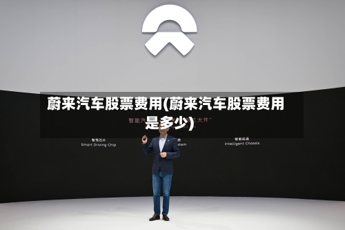 蔚来汽车股票费用(蔚来汽车股票费用是多少)