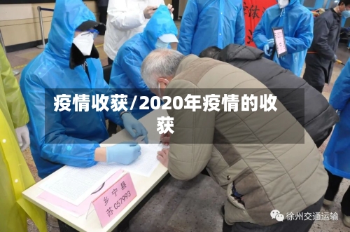 疫情收获/2020年疫情的收获