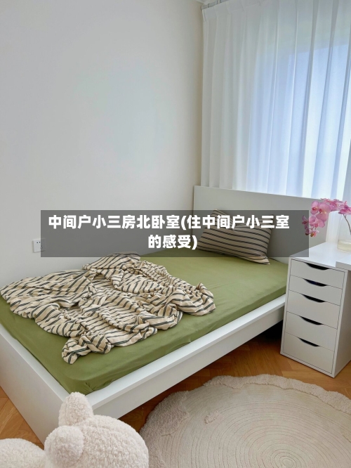 中间户小三房北卧室(住中间户小三室的感受)-第2张图片
