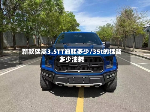新款猛禽3.5TT油耗多少/35t的猛禽多少油耗-第3张图片