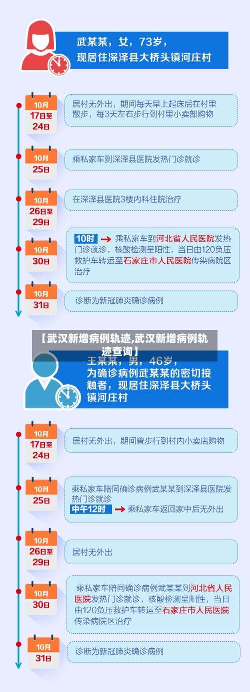 【武汉新增病例轨迹,武汉新增病例轨迹查询】