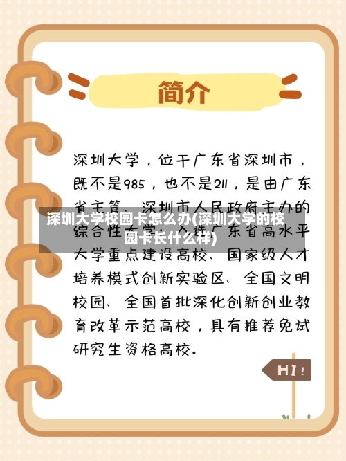 深圳大学校园卡怎么办(深圳大学的校园卡长什么样)-第2张图片