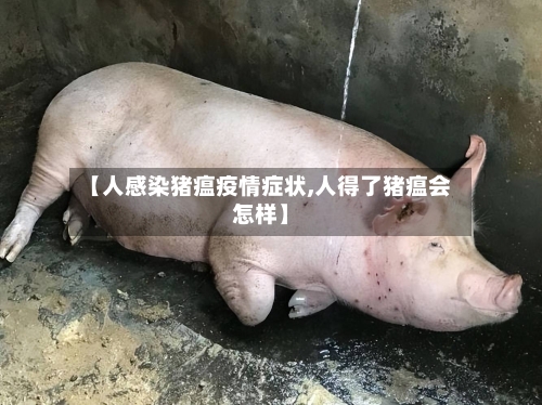 【人感染猪瘟疫情症状,人得了猪瘟会怎样】