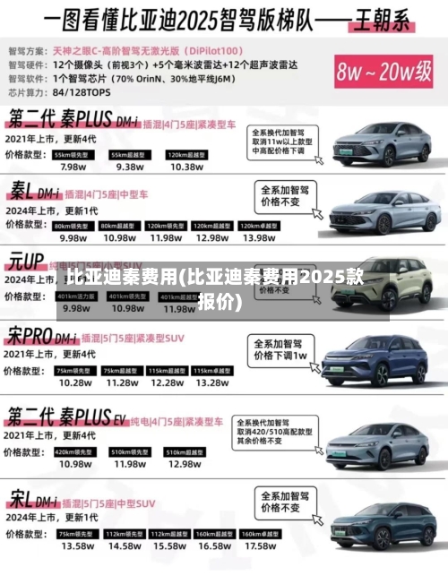 比亚迪秦费用(比亚迪秦费用2025款报价)-第3张图片