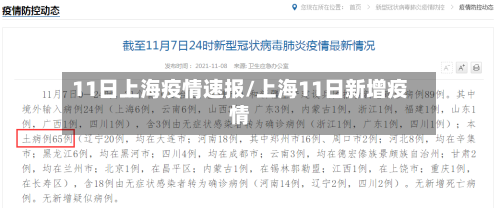 11日上海疫情速报/上海11日新增疫情