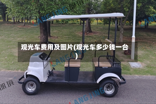 观光车费用及图片(观光车多少钱一台)-第2张图片