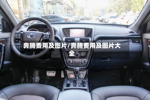 奔腾费用及图片/奔腾费用及图片大全