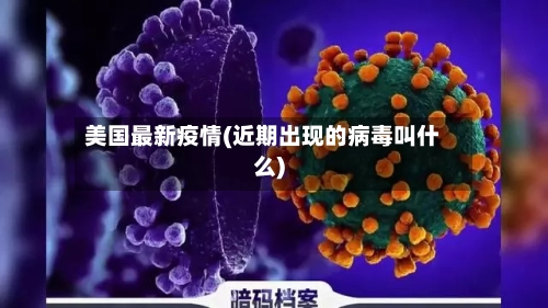 美国最新疫情(近期出现的病毒叫什么)-第3张图片