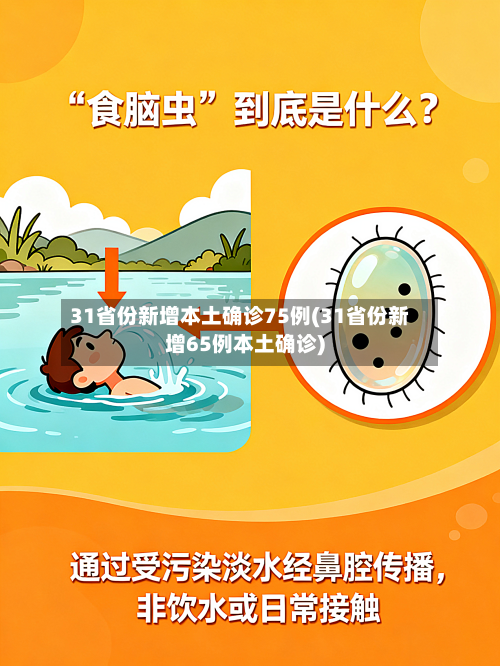 31省份新增本土确诊75例(31省份新增65例本土确诊)