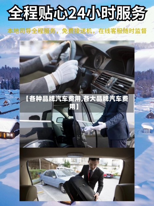 【各种品牌汽车费用,各大品牌汽车费用】-第2张图片