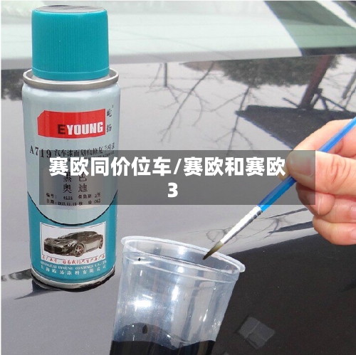 赛欧同价位车/赛欧和赛欧3