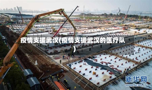 疫情支援武汉(疫情支援武汉的医疗队)