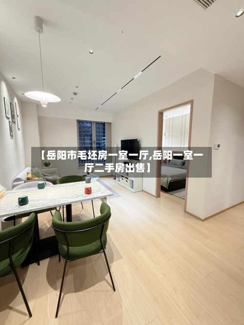 【岳阳市毛坯房一室一厅,岳阳一室一厅二手房出售】-第2张图片