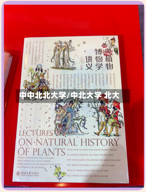 中中北北大学/中北大学 北大