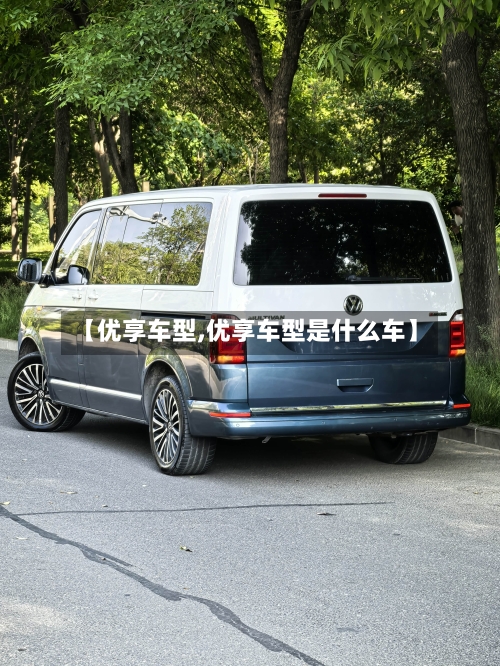 【优享车型,优享车型是什么车】