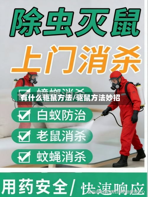 有什么驱鼠方法/驱鼠方法妙招