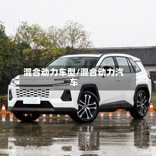 混合动力车型/混合动力汽车