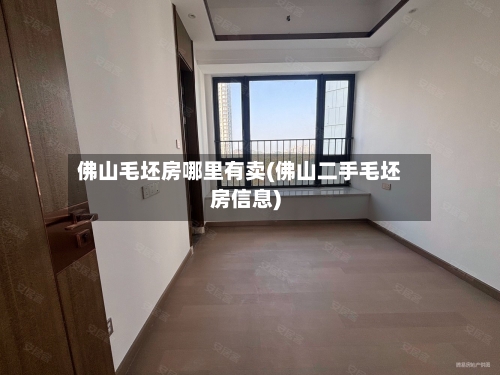 佛山毛坯房哪里有卖(佛山二手毛坯房信息)-第3张图片