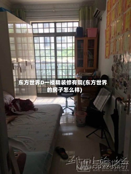 东方世界D一楼精装修有院(东方世界的房子怎么样)