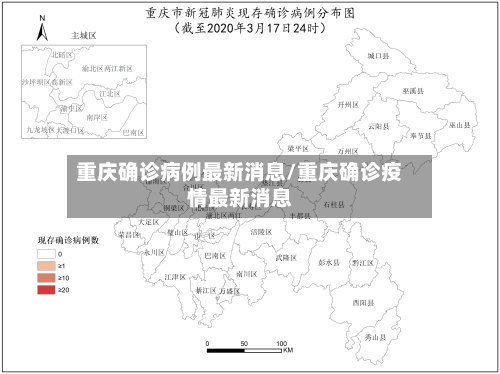 重庆确诊病例最新消息/重庆确诊疫情最新消息-第3张图片
