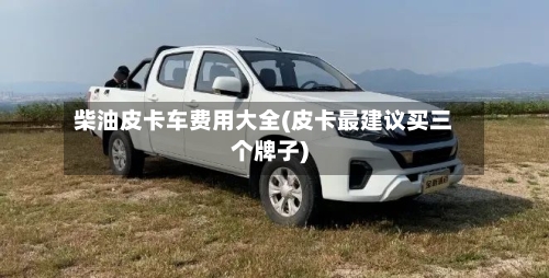 柴油皮卡车费用大全(皮卡最建议买三个牌子)