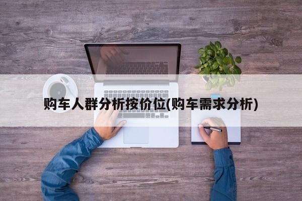 购车人群分析按价位(购车需求分析)